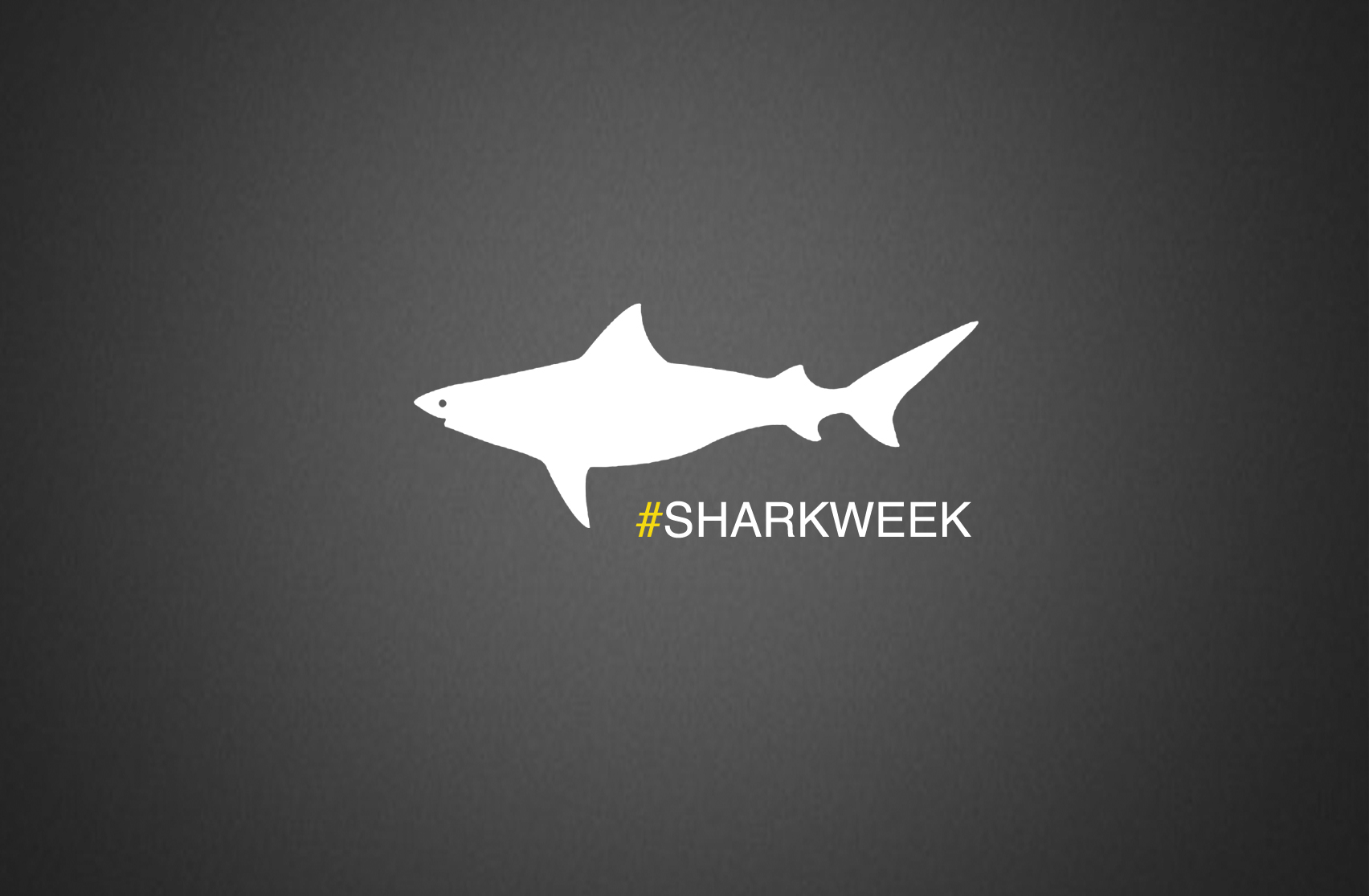 Shark Week Books Book Blog for Young Adults Girl Plus Book