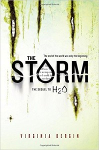The Storm by Virginia Bergin