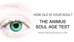 The Oldest Soul - Animus by Tiffany FitzHenry